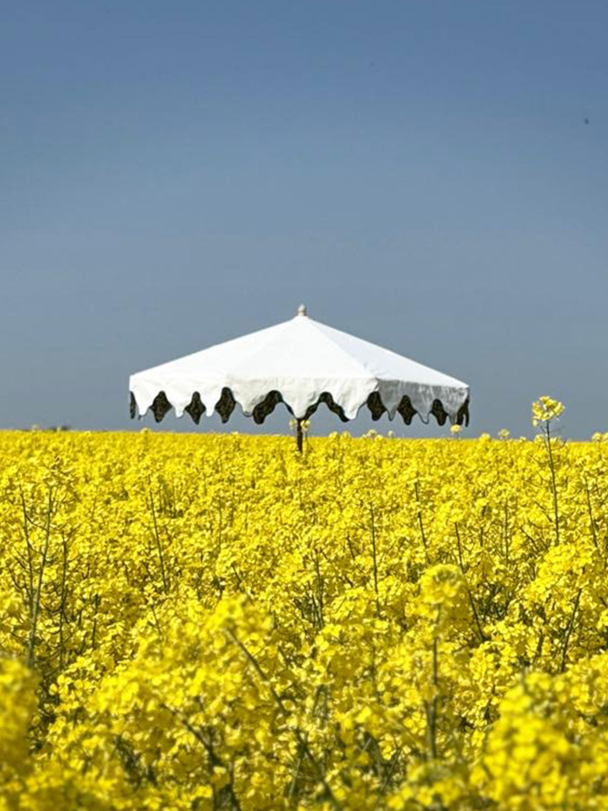 Delphine Traditional Wooden Octagonal Parasol (Blue Floral Motif)